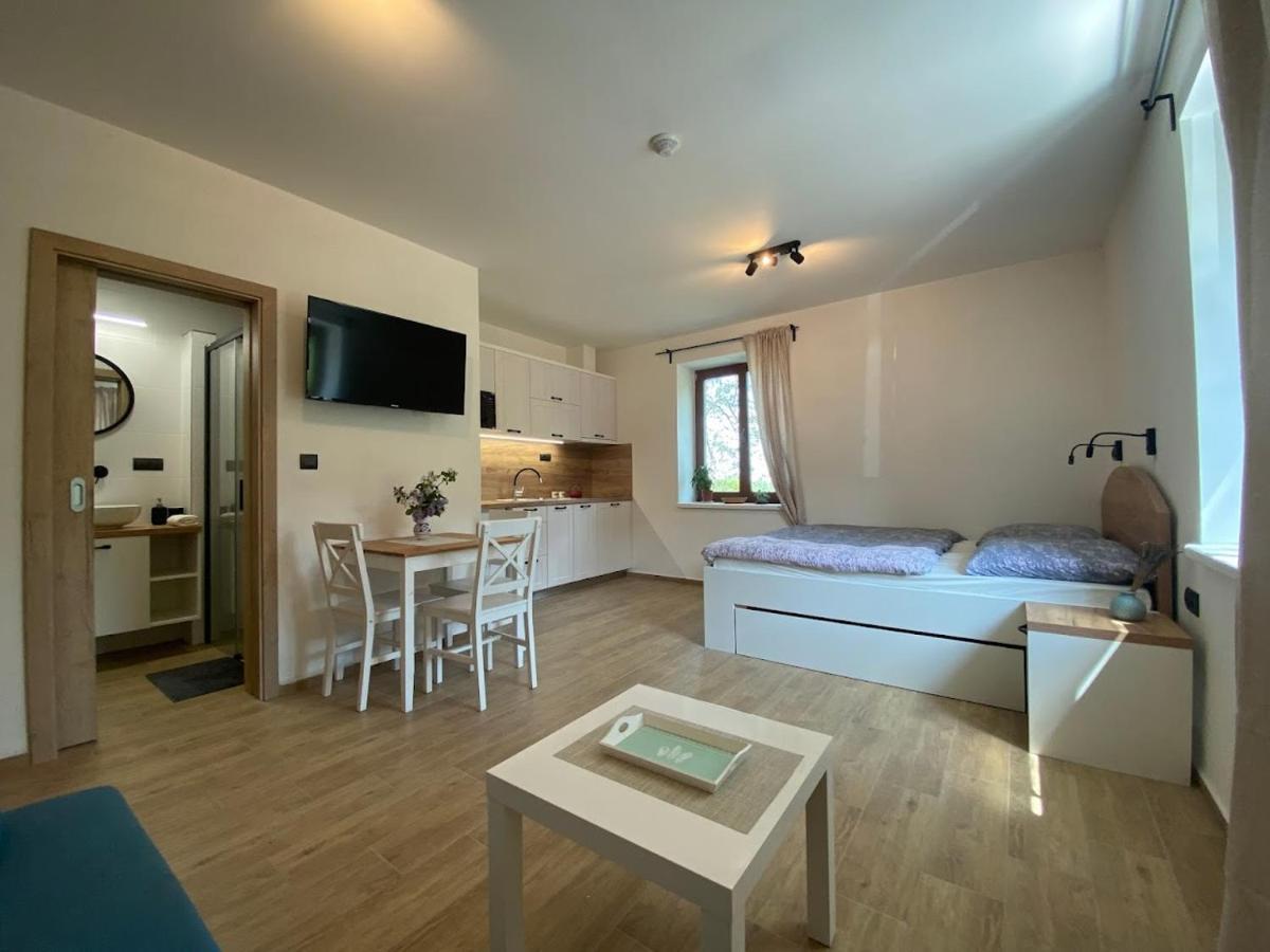 Ferienwohnung Ruzickuv Dvur Hranice  Exterior foto